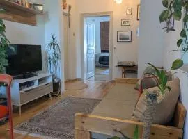 Beautiful apartment with 2 balconies 2 bedrooms