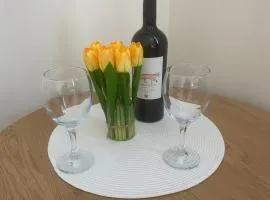 Apartament Mączyńskiego 4