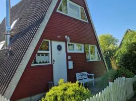 Ferienhaus Damp Windrose