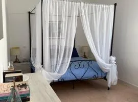 Suite ad maiora