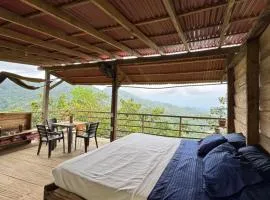 Casinha da Floresta