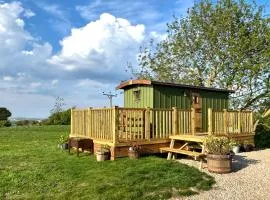 Fernlea Luxury Shepherds Hut & Hot Tub