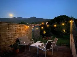 Les Figuiers Appartement avec terrasse