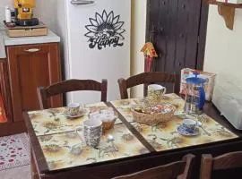 Il girasole