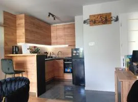 Apartament Kielecki
