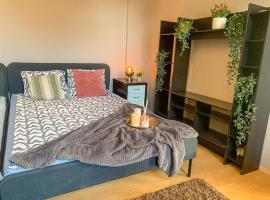 Central houses budget friendly, glamping site in Bucharest
