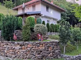 Guest house Bosna