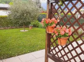 Il PETTIROSSO