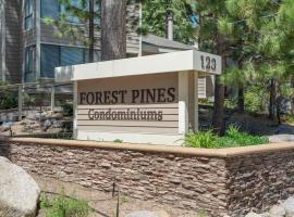 Tall Pines Retreat condo, alquiler vacacional en la playa en Incline Village