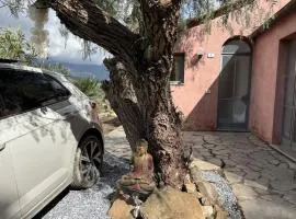 A Stunning View - Villa Cuccarello - by Host4U