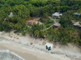 Cocobeach Palomino
