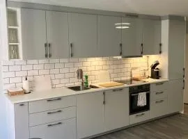 3BR Penthouse in city center with free parking