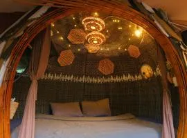 Cú Trên Cây Homestay