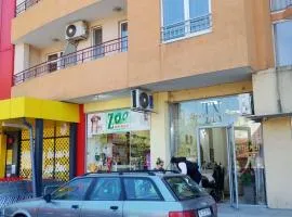 Неофит Бозвели апартамент 1