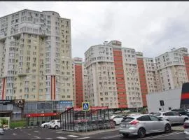 Botanica, Shoping Molldova Testimiţianu