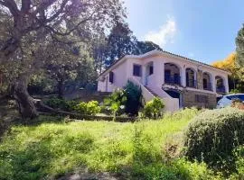 Appartamenti in villino bifamiliare Sarra di Entu