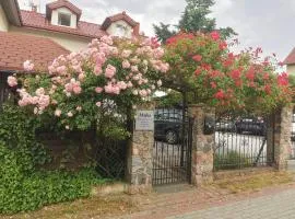 Majka Apartamenty Studia Pokoje