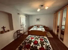 Casa cu struț Malancrav