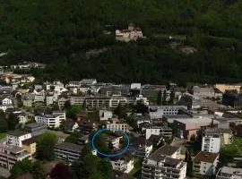 Castle View Big Appartment Vaduz Center