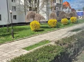 Tudor Central Apartment