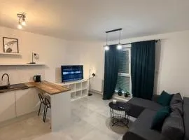 LOFT APARTAMENT I Kępno