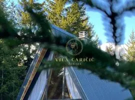Vila Caričić Žabljak