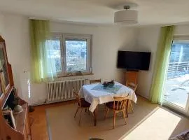 Kocherblick-SchwHall