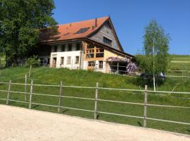 S&eacute;r&eacute;nit&eacute; et Nature dans une ferme &eacute;questre - loft lumineux de 140m2，Massonnens的海灘飯店