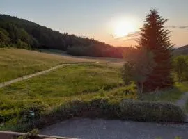 Schwarzwald Pur