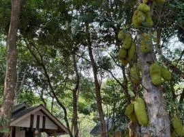 Eternal Forest Beach Bar&Bungalow