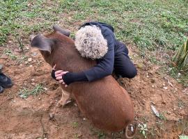The Farm - Nguyen Shack, hotel in Phong Nha