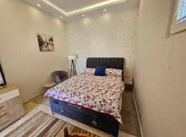 Aпартаменты Влаович