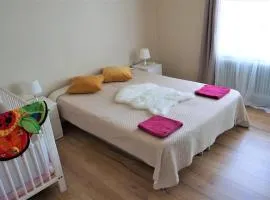 Comfortable Rica house in the center in Billund