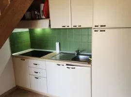 linguizzetta , les marines de bravone