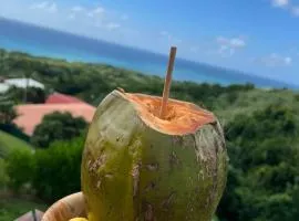 Le Petit Havre Appt Breathtaking sea view