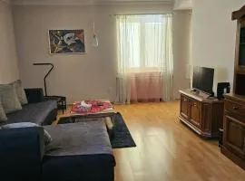 Flat is located in the city center