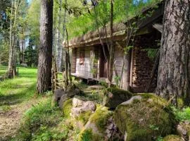 Timmerstugan i skogen