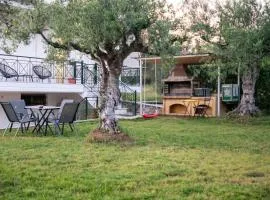Olive Harmony House
