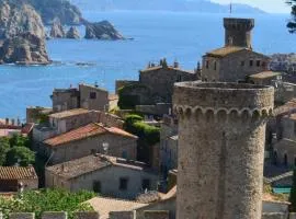 Miquel 1 centro de Tossa,