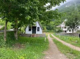 Ali's House