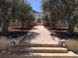 Villa Mediterranea