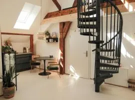 Urban Loft - Appartment in ehemaliger Fabrik zentral in Landau