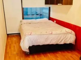 Cabañas Pucón - 3 tipos para 2 o 4 personas