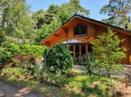 Villa in Forest with Private Sauna