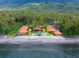 Dani Beach Villa - Beachfront Villas in Penuktukan
