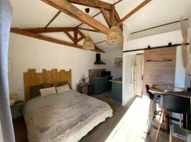 Paisible Studio avec jardin Bassin Arcachon