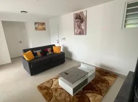 appartement neuf au coeur du diamant