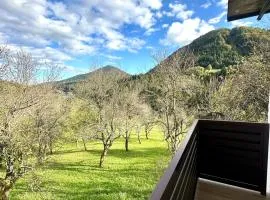 Apartman Bajt