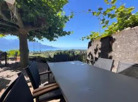 La Vigneronne, Chailly-Montreux