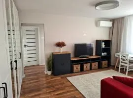 Cozy Central Apartment